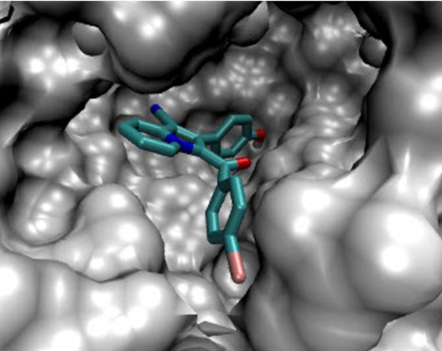 Accomodation of compound 5g in the active site of PtpB (Protein tyrosine phosphataseB).