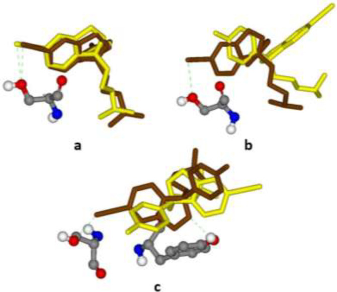 Best (Brown stick) and worst (Yellow stick) binding poses of citalopram within different induced fit models of the serotonin transporter (SERT) along with interacted H-bonds; (a) 5I6X (3.14 Å), Ser439, ΔpKi 2.298-2.536; (b) 5I71 (3.15 Å), Ser439, ΔpKi 2.330-2.697; (c) 5I73 (3.24 Å), Ser439 & Tyr95, ΔpKi 3.850-4.111