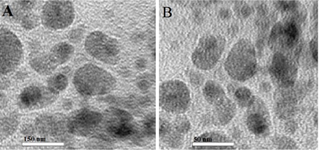 TEM images of DTX-loaded micelles of M5 (A) and DTX-loaded polymersomes of P5 (B)