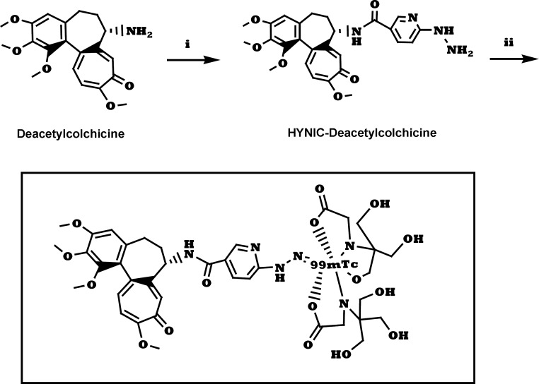 Synthesis of 99mTc-tricine-ligand. (i) a. HYNIC-Boc, HATU, DIPEA, DMF, 25 °C, 6 h. b. TFA, CH2Cl2, 25 °C, 2 h; (ii) 99mTcO4-, tricine, 90 °C, 10 min.