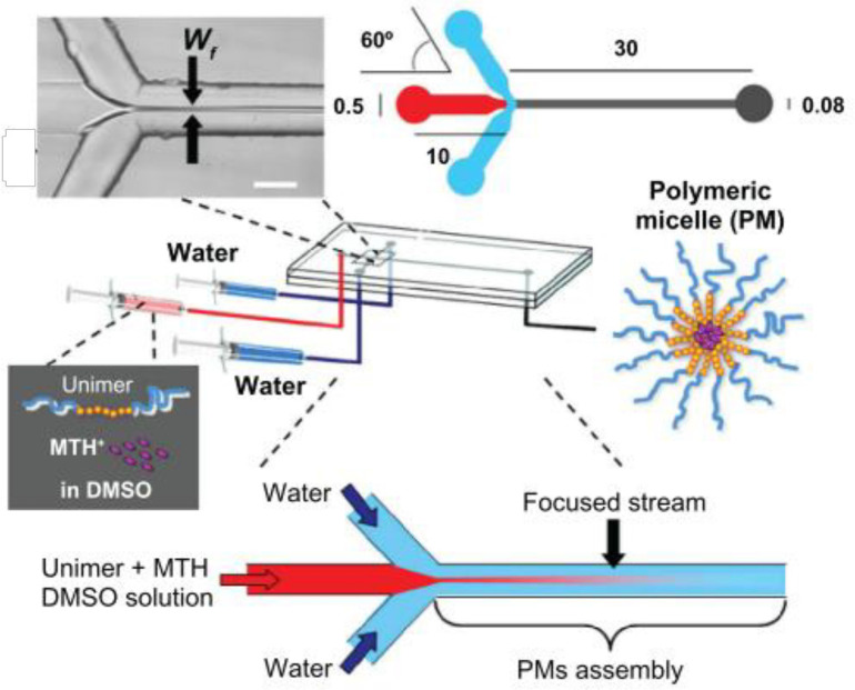 The preparation procedure of polymeric micelles by microfluidics. (Adapted with permission from Dove Medical Press (30)).