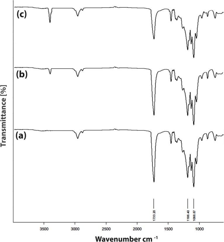 Cell adhesion assay of HNFF-PI8 cells on PU polymer. Absorbance at 570 nm is represented for progressive culture times. Culture plastic was used as a control. Data are expressed as means of a representative of three similar experiments carried out in triplicate