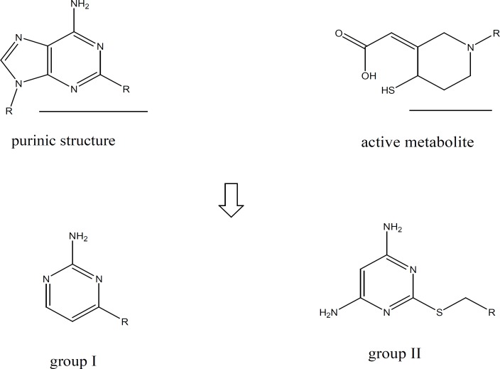 Comparing the structures of aminopyrimidines with the structures of purine and the active metabolite of clopidogrel.
