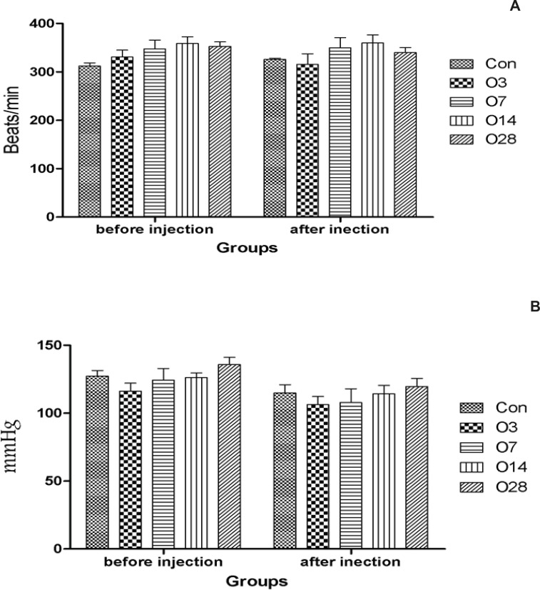 Hemodynamic parameters of rats received 20 mg/Kg oleuropein for several days before the intravenous infusion of aconitine. A: Heart rate; B: Mean blood pressure; Con: control group; O3, O7, O14 and O28: mean groups that were received oleuropein for 3, 7, 14 and 28 days before the infusion of aconitine (0.2 μg/min), respectively. *: p < 0.05 vs Con group