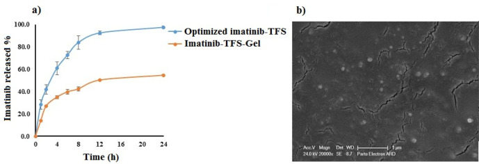 (a) The mean percent of drug release from optimized imatinib-TFS and imatinib-TFS-Gel (b) SEM of optimized imatinib-TFS