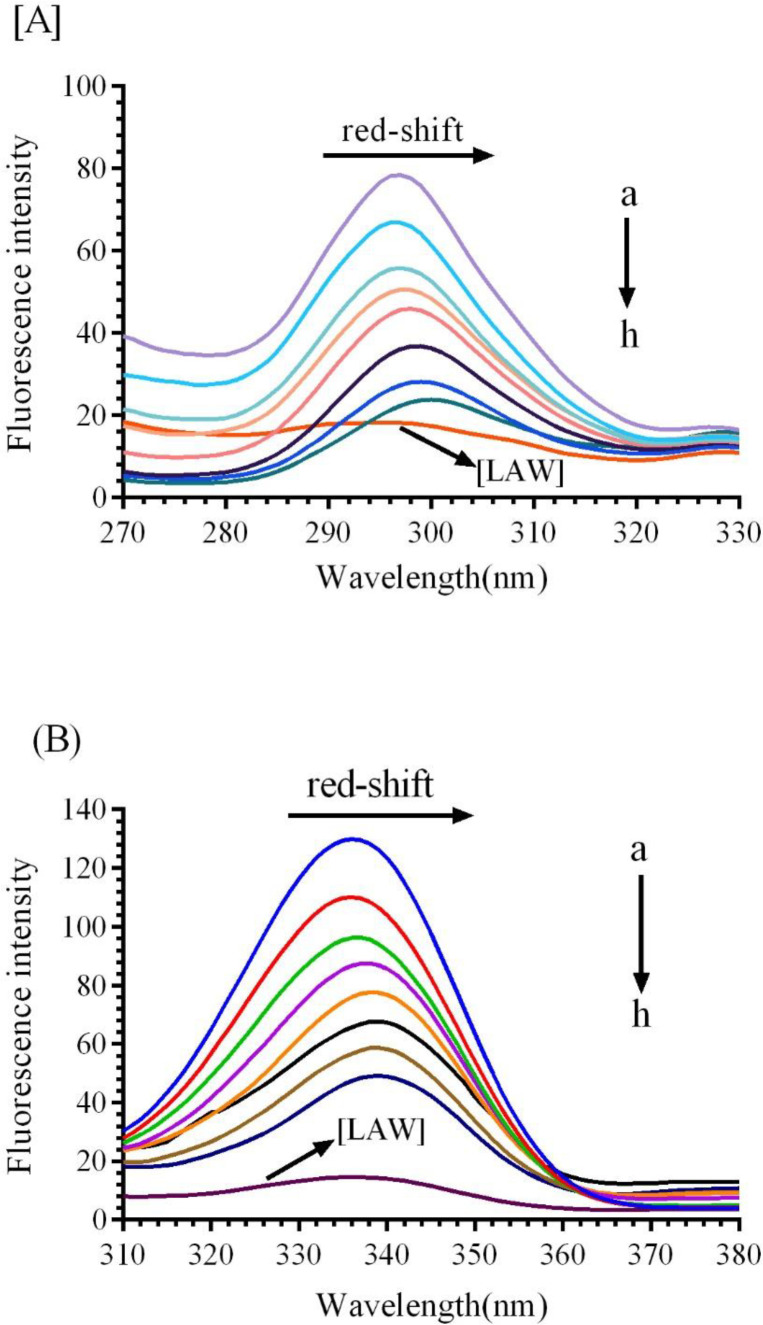 Synchronous fluorescence spectra of BLC in the presence of incremental concentration of LAW (a) 0, (b) 0.47, (c) 4.7, (d) 9.4, (e) 11.8, (f) 14.2, (g) 23.6 and (h) 37.8µM, (i) enzyme free LAW (0.7 µM); (A) ∆λ=15 and (B) ∆λ=60 nm at 298k
