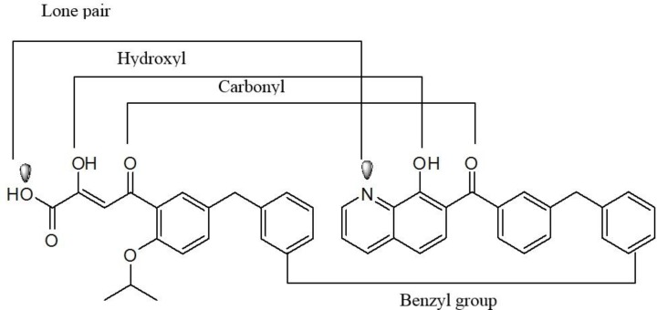 Design of pyrrolloquinolones by cyclizing the L870,810