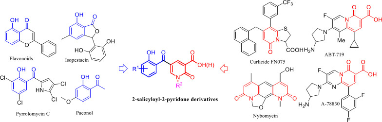 The new molecular hybridization of 2-salicyloyl and 2-pyridones