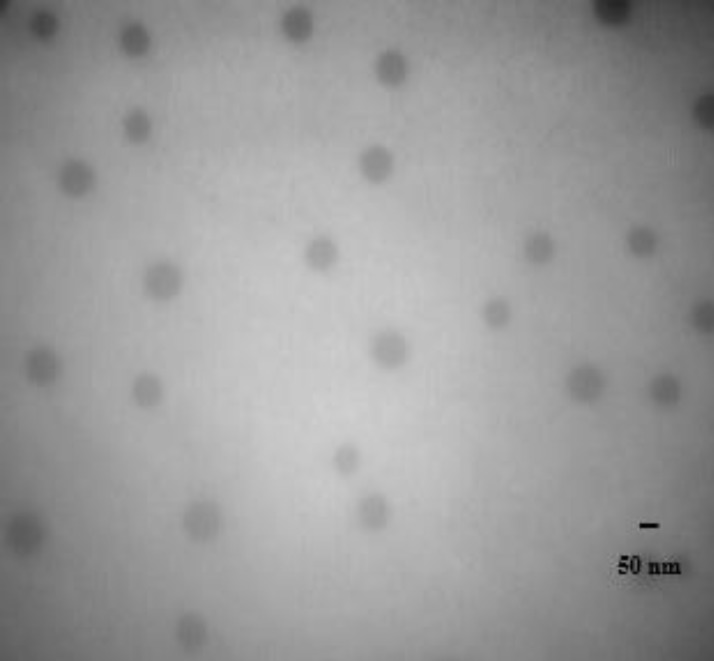 Transmission electron photomicrographs of the NM-loaded P85 polymeric micelles (F4). The scale bar represents 50 nm