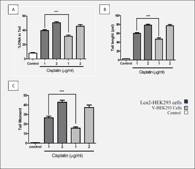 Comparison of (A) % of DNA in Tail, (B) Tail length, and (C) Tail moment with concentrations of 1 and 2 (µg/mL) of cisplatin in Lcn2-HEK293 cells and HEK293-V cells that indicated protective effect Lcn2 against genotoxicity cisplatin (Mean ± SEM ***: P < 0.001).