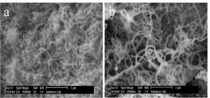 (a) SEM images of MWCNTs before oxidation and, (b) after oxidation.