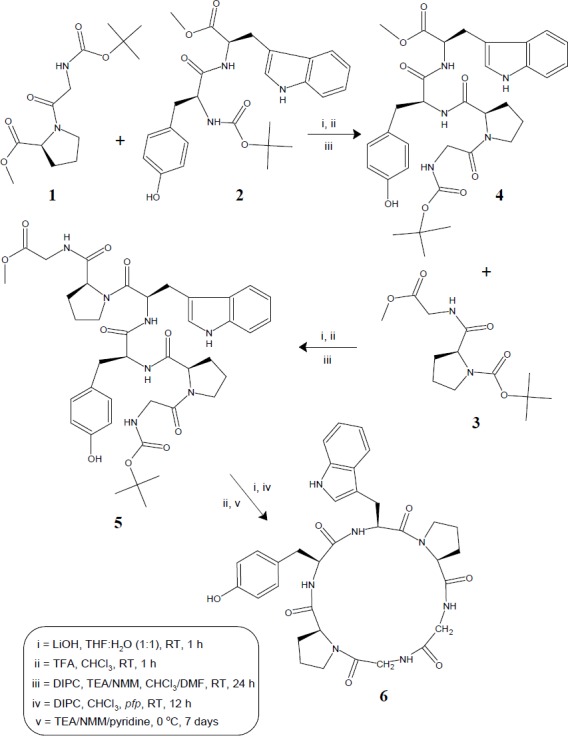 Synthetic route for hexacyclopeptide - diandrine C (6)