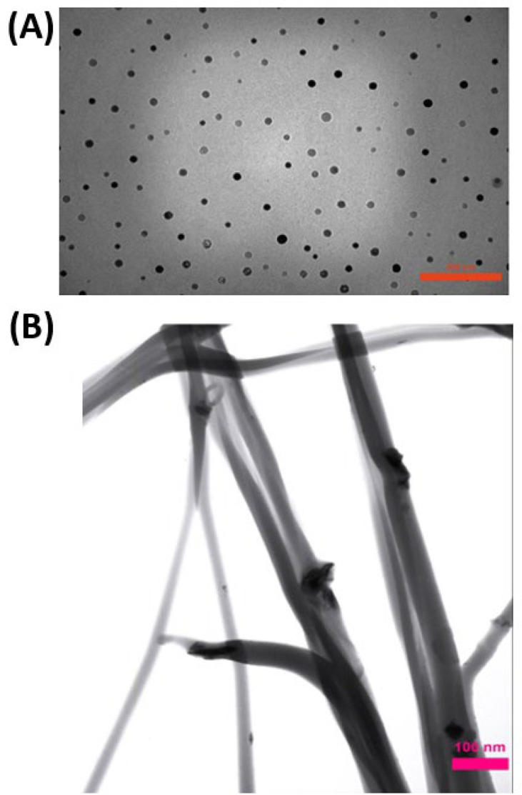 TEM images of (A) Clay nanoparticles, (B) Clay-PAN 25% scaffold with 100 nm scale bar