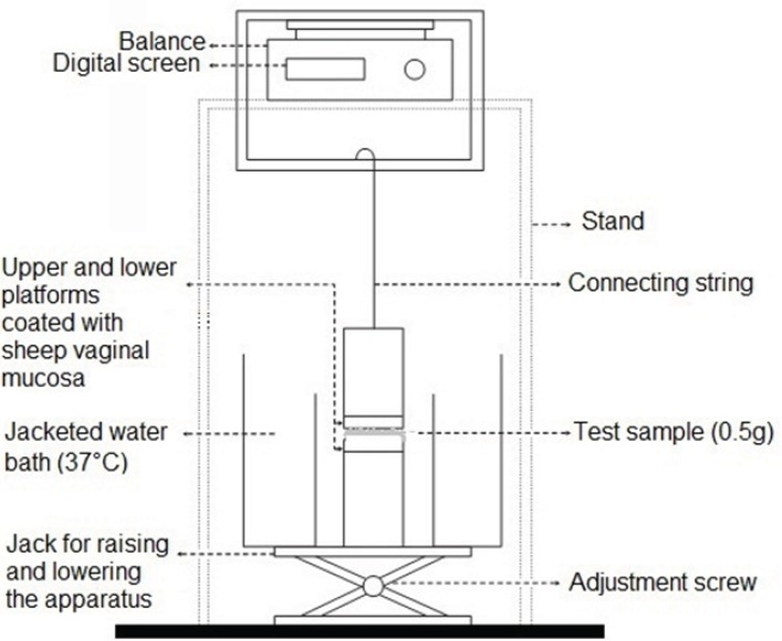Schematic drawing of the apparatus used for assessing the in vitro mucoadhesive strength of propranolol HCI gel formulations
