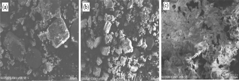 Scanning electron micrographs images of β-CD (a), β-CD:geraniol physical mixture (b) and β-CD:geraniol inclusion complexes (c