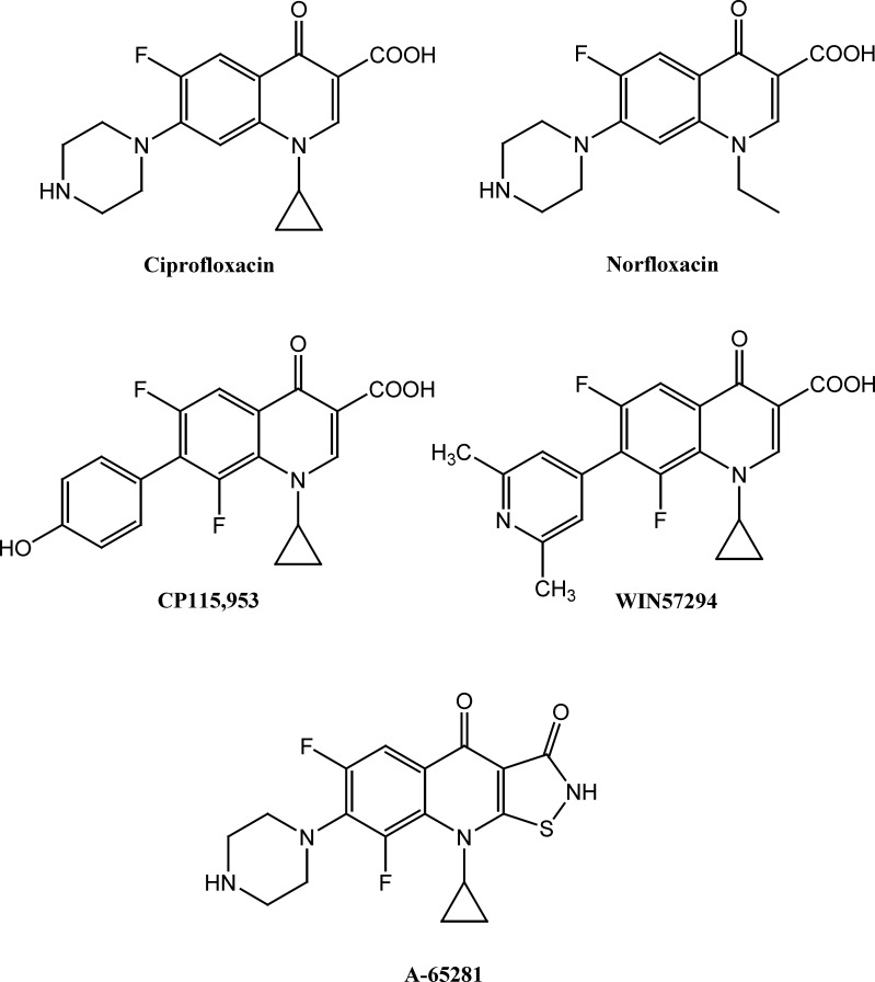 Chemical structure of antibacterial (Ciprofloxacin and Norfloxacin) and some anticancer quinolones (CP115,953, WIN57294 and A-65281