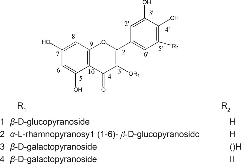 Flavonol glycosides (compounds 1-4) from Euphorbia microsciadia