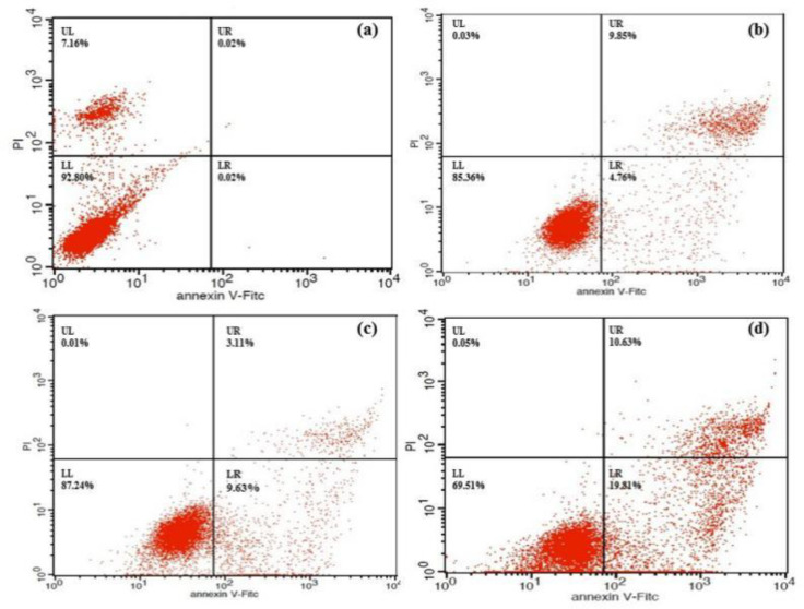 Flow cytometric analysis of HeLa cells treated with compound 4a. The percentages of apoptotic cells are shown in representative plots. (a) Control (b)12.5 μmol/L (c) 25 μmol/L (d) 50 μmol/L