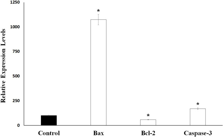 Bax, Bcl-2 and Caspase-3 mRNA levels in control and S. syriaca essential oil-treated Caco-2 cells. Individual gene expression levels were normalized by using β-actin. The value obtained from control cells was taken to be 100%, and the values obtained from the S. syriaca oil-treated cells were expressed as a percentage of control (*p < 0.05)