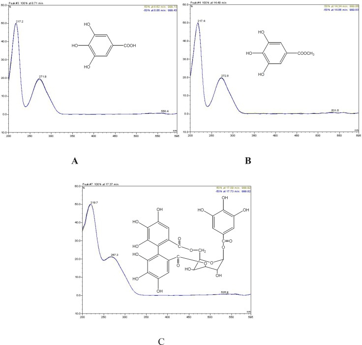 Structures and UV spectra of A: gallic acid, B: methyl gallat, C: pusilagin
