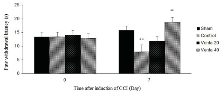The effects of acute treatment with venlafaxine (20 and 40 mg/Kg i.p.) on heat hyperalgesia. Sham group (n = 6): rats who were subjected to sham treatments (Saline solution 5 mL/Kg) for chronic constrictive nerve injury (CCI), Control group (n = 6): chronic constrictive nerve injury of the right sciatic nerve was performed, Venla 20: CCI animals who were treated with venlafaxine (20 mg/Kg i.p.), Venla 40: CCI animals who were treated with venlafaxine (40 mg/Kg i.p.).