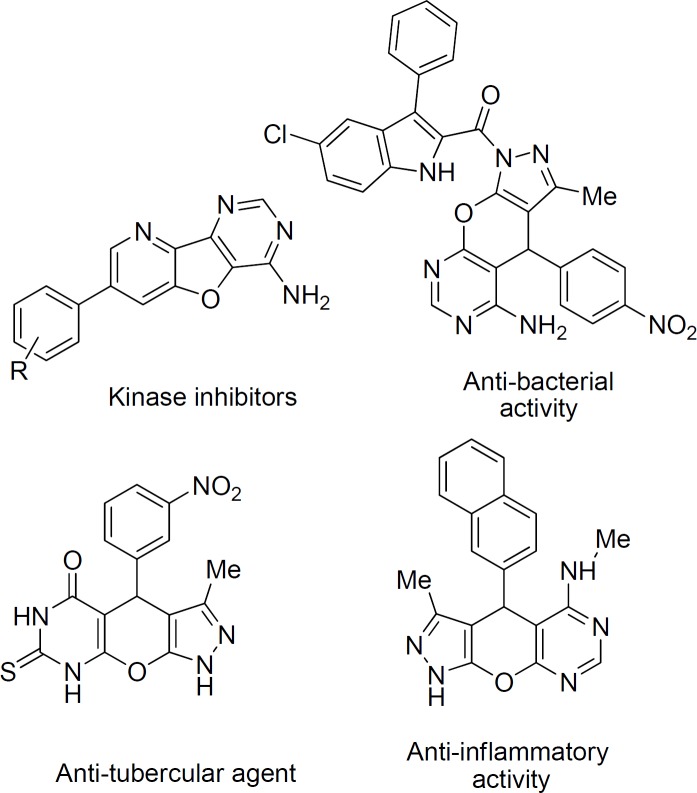Representative examples of bio-active derivatives of fused pyrimidines
