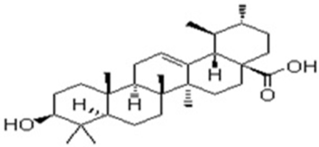 The chemical Structure of ursolic acid isolated from Vitex negundo Linn