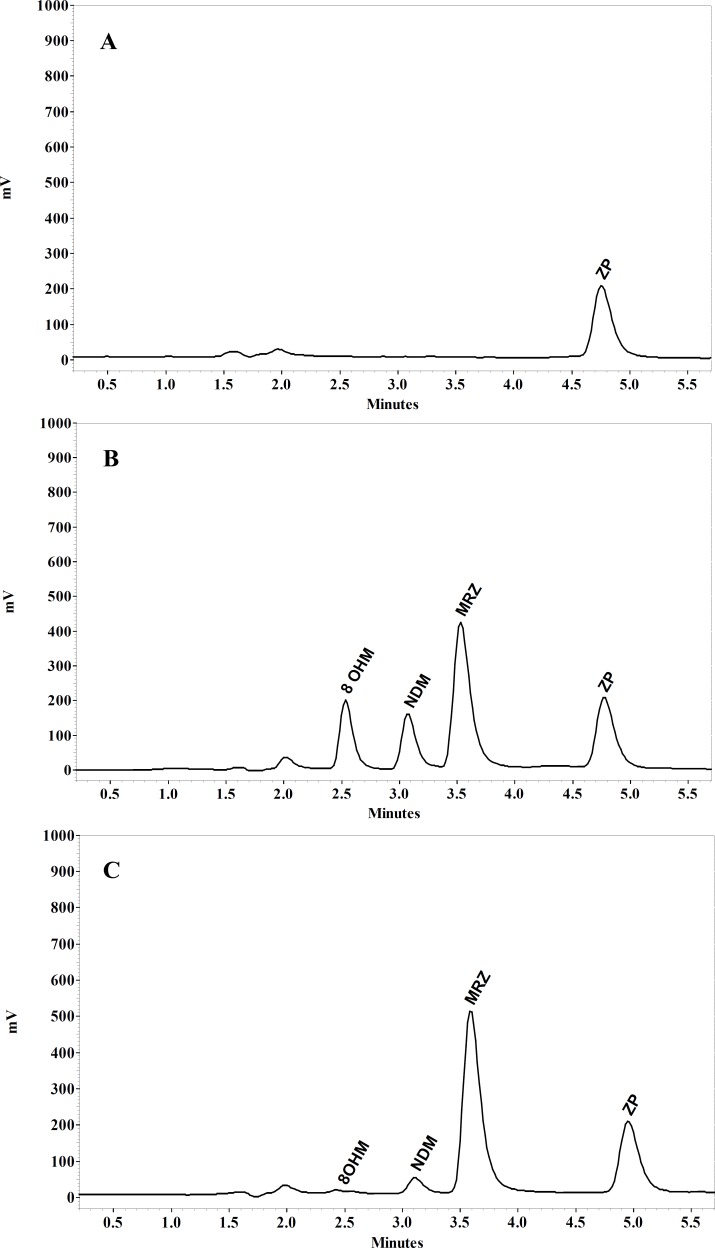 Chromatograms of (A) blank human plasma spiked with IS, (B) plasma spiked 100 ng/mL of MRZ and 8-OHM and 50 ng/mL NDM and (C) plasma of the volunteer 2.5 h after single oral dose of 45 mg MRZ