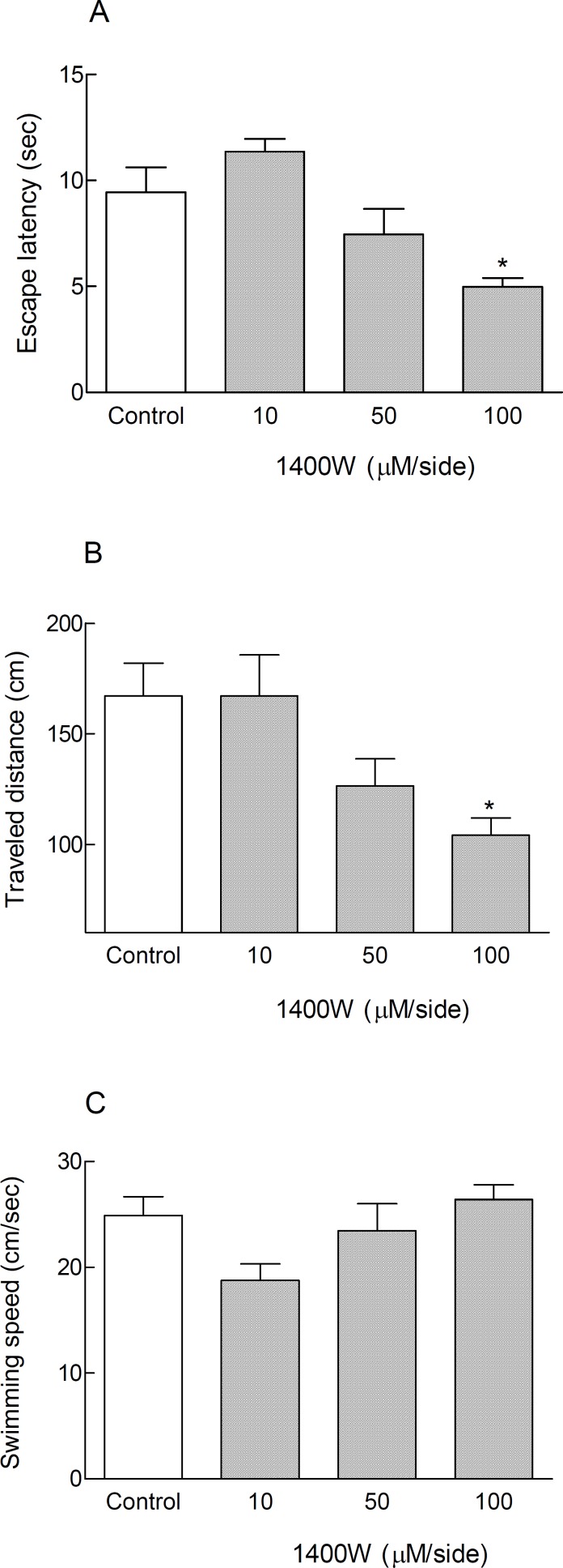 Treatment with 1400W, a selective iNOS inhibitor caused spatial memory improvement in cannulated non-anesthetized animals in Morris water maze during testing trials. Inhibition of inducible nitric oxide synthase by bilateral intra-hippocampal infusion of 1400W (100 μM/side) via cannulas after surgical recovery, led to significant decrease in escape latency and traveled distance (* P < 0.05) in comparison with control group (Figures 1A and 1B). The swimming speed did not change significantly in all treated animals (Figure 1C). Each bar graph shows mean ± SEM for 8 animals in each group