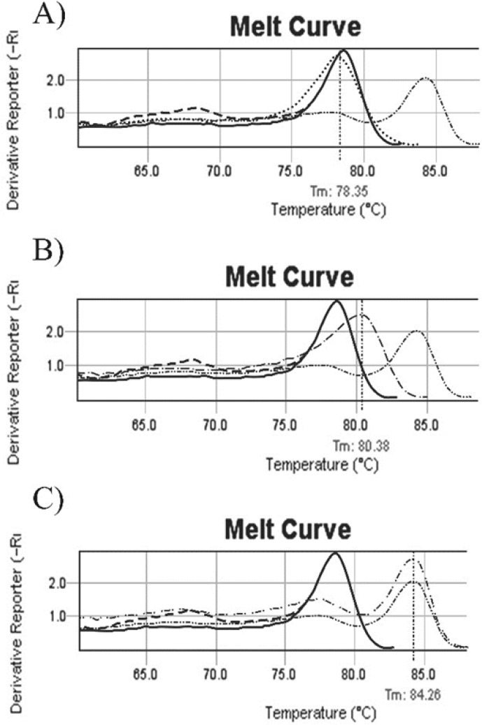 un-methylated, methylated and partial methylated melting curves. A: b014 melting curve (……) before treatment, Tm=78.35ₒ. Melt curve (….) is similar to normal individual control (---) and commercial un-methylated control (--). 1B: b035 patient melting curve (……) with tm= 80/38ₒ. Patient’s melt curves with shift to the right, is between normal individual control (---)/ commercial un-methylated control (----) and commercial methylated control (……..), this sample was considered as a partial methylated. 1C: Melting curve of b038 (…….), it is exactly similar to commercial methylated control curve (……..). Tm is 84.26ₒ. ---- Normal individual control, -- Commercial un methylated control, …… Commercial methylated control ---- Methylated sample, …… Partial methylated sample, ---- Un methylated sample after treatment, ……. Un methylated sample