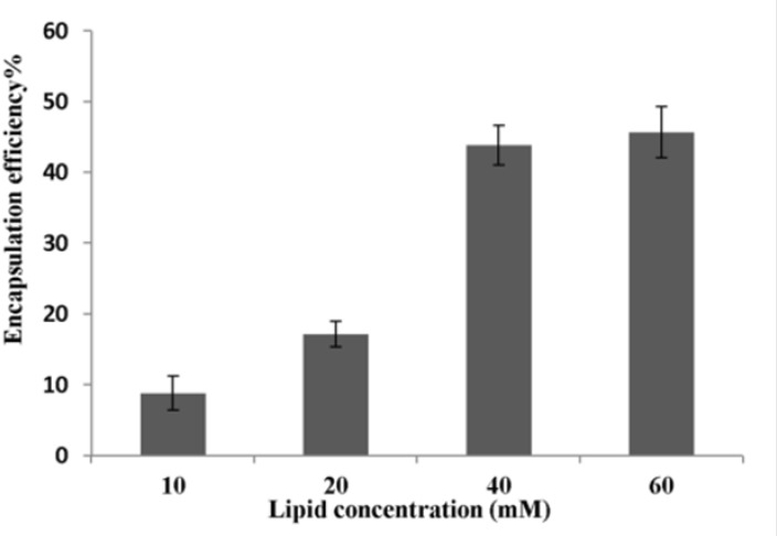 Effect of lipid concentration on P5 encapsulation efficiency (n = 3). P5 was encapsulated into liposomes using method C. Ethanol was used at concentration of 30% (v/v).The incubation temperature and incubation time were 25 ºC and 1 h, respectively