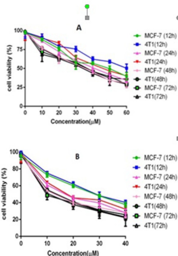 Anticancer abilities of free SF and CUR on MCF-7 and 4T1 Breast cancer cells in-vitro.