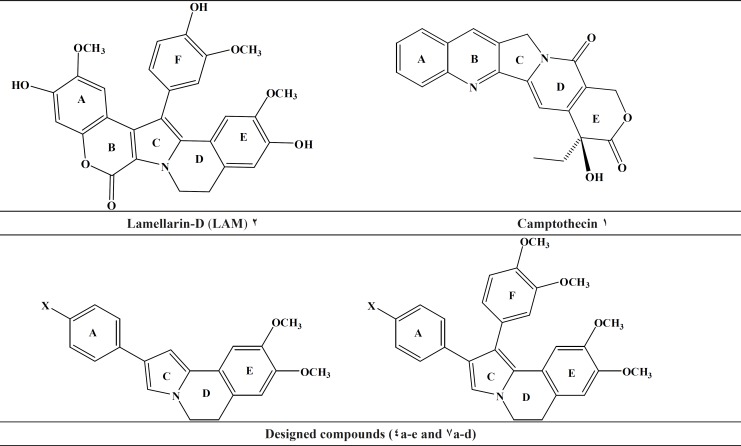 Topoisomerase inhibitors, lead compounds (Lamellarin-D), and our designed scaffold