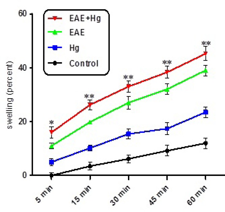 Mitochondrial swelling. Hg enhanced mitochondrial swelling in EAE + Hg group. Values have been presented as decreasing absorbance at 450 nm (n = 8). *** represents significant difference between control and EAE groups, also $$$ represents significant difference (P < 0.001) between EAE and EAE + Hg groups