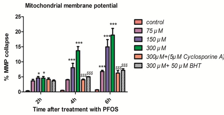 Collapse of mitochondrial membrane potential (MMP) in human lymphocytes following PFOS treatment.PFOS-induced collapse of mitochondrial membrane potential (MMP) in human lymphocytes. MMP was assessed at 2, 4 and 6 h following incubation of lymphocytes with PFOS. Two hours after treatment of human lymphocytes with PFOS, collapse in mitochondrial membrane potential started, but this collapse was not statistically significant (P < 0.05) until 4 h. PFOS significantly (P < 0.05) reduced mitochondrial membrane potential at two higher concentration (150 and 300 µM) at 4 h and at all concentration at 6 h in comparison with control. Cyclosporine A and BHT inhibited PFOS-induced collapse in MMP. *P < 0.05, **P < 0.01 and ***P < 0.001.