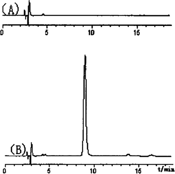 Purity identification of truffle polysaccharide (PTS-A) by HPLC-UV (A: blank, B: PTS-A).