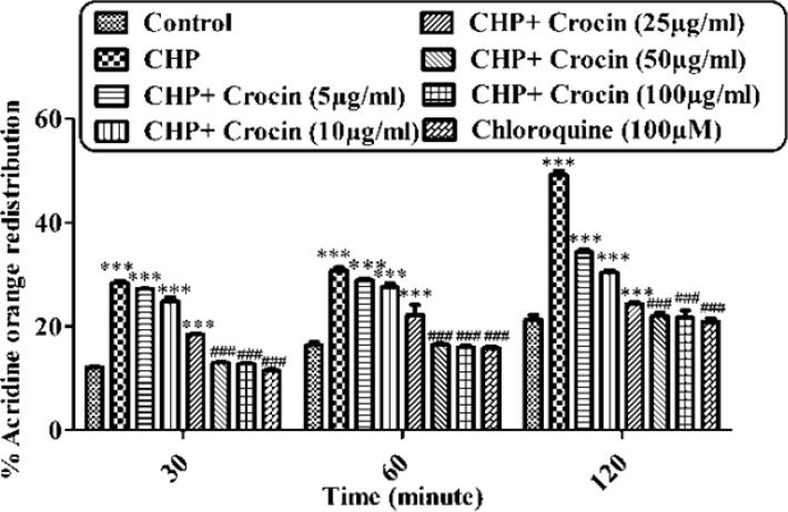 Preventing CHP induced lysosomal membrane injury by different concentrations of crocin. Isolated rat hepatocytes at the concentration of 106 cells/ml incubated in Krebs–Henseleit buffer pH 7.4 at 37 ºC. The redistribution of acridine orange from lysosomes into cytosol in acridine orange loaded hepatocytes was assigned as a biochemical basis for the measurement of lysosomal membrane injury. Highly florescent acridine orange redistribution was determined spectrofluorometrically in treated hepatocytes and shown as the percentage of hepatocytes lysosomal membrane leakage in all groups in three different time intervals (30, 60 and 120 min). (CHP: cumene hydroperoxide) values are shown as mean ± SD of three separate experiments (n = 3). ***P < 0.001, significant difference in comparison with non-treated hepatocytes (control). ###P < 0.001 significant difference in comparison with CHP treated hepatocyte