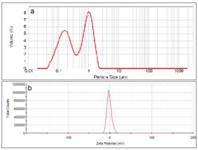 Particle size distribution (a) and zeta potential (b) of neutral liposomes (DSPC:cholesterol).