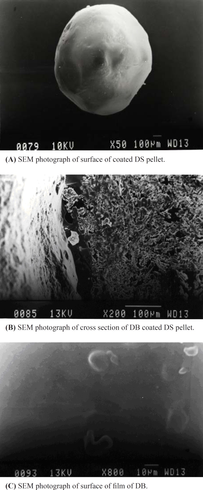 Surface and coating characterization of diclofenac sodium pellets made by scanning electron microscopy