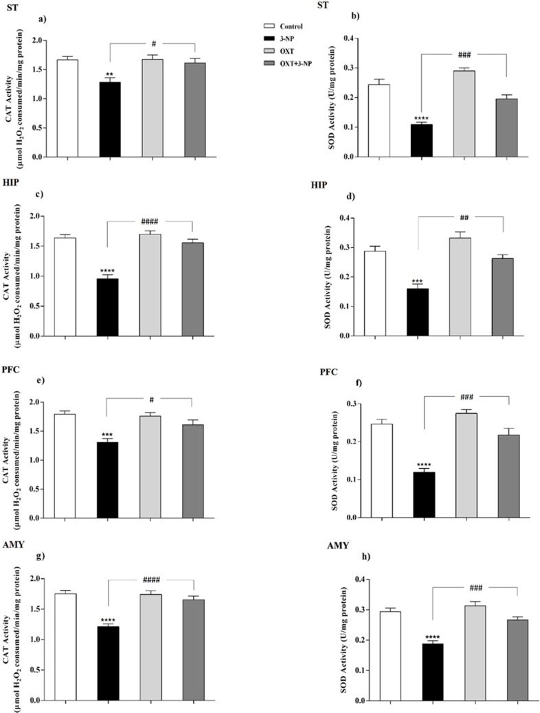 OXT effect on CAT and SOD activity in different brain areas of female rats that received 3-NP. (a, c, e and g) 3-NP significantly reduced CAT activity in the various brain regions of the female rats, but OXT improved the effect of 3-NP in all studied regions. (b, d, f and h) OXT stand against activity reduction of the SOD, which was followed by 3-NP injection, in different brain areas of female rats. Data are presented as means ± SEM (n = 6/group). **p < 0.01, ***p < 0.001, ****p < 0.0001 compared with the Control; #p < 0.05, ##p < 0.01 and ####p < 0.0001 compared between the 3-NP and 3-NP-OXT groups. OXT: oxytocin; 3-NP: 3-Nitropropionic acid; CAT: catalase; SOD: superoxide dismutase