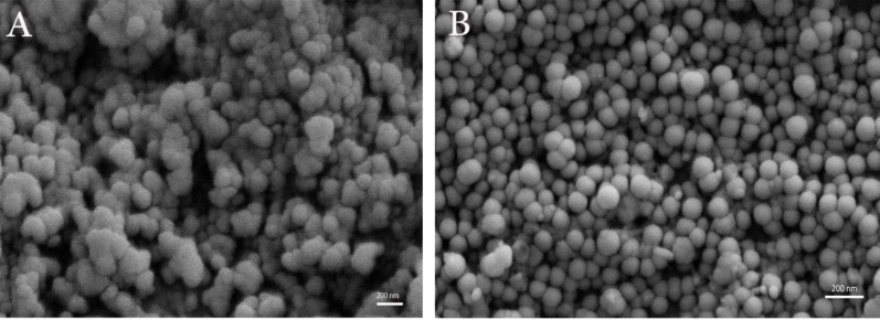SEM images of formulations. (A) Negative niosomes, (B) Positive niosomes (3%), original magnification 40.000×.
