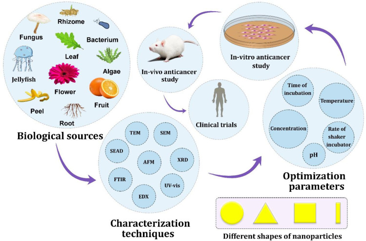 The interface of nature, nanotechnology and hepatic cancer