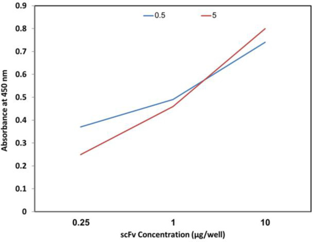 Evaluation of scFv bonding at 5 µg concentration to the venom at 0.25, 1 and 10 µg concentrations