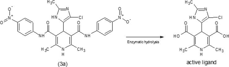 Enzymatic bio-activation of dihydropyridines