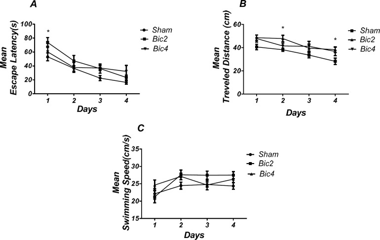 Effect of bicuculline on spatial learning and memory. There was a significant increase in escape latency in1st (* P < 0.05) day in bicuculline treated animals compared to the sham operated group (A). Also there was a significant increase in traveled distance in 2nd and 4th (* P < 0.05) days in bicuculline treated animals compared to the sham operated group. (B) No significant difference was observed in swimming speed among different groups (C). (RM) Two-way analysis of variance (ANOVA) followed by post hoc analysis (Tukey test) were used and P < 0.05 was considered to be statistically significant. (n = 6-8 for each group)