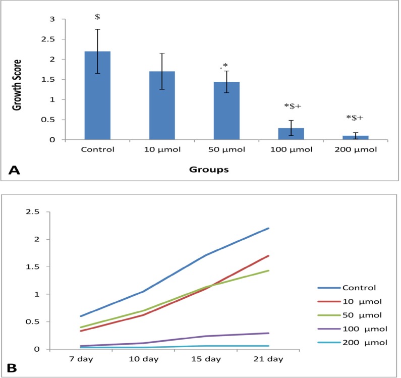 (A) Mean of growth score of EEE (n = 8) in control and different doses of noscapine at the end of study periods (21th days). Significant difference: (*) whit: control, (+) whit 10 μM, and ($) whit 50 μM. (B) Process of endometrial growth during 21 days in control and different doses of noscapine