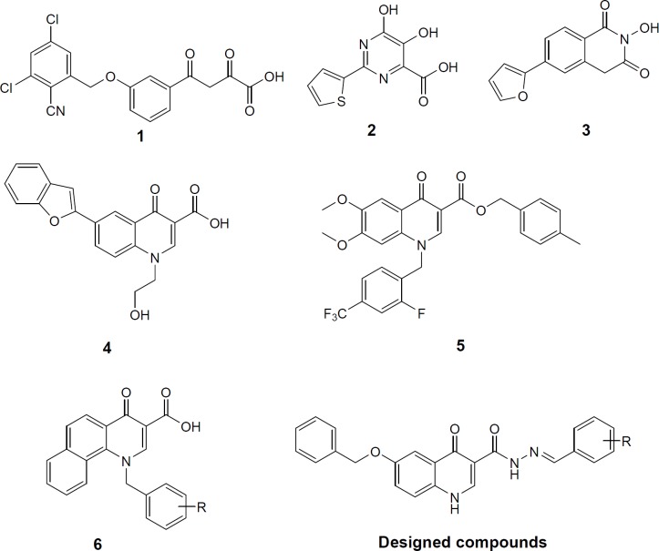 NS5B polymerase inhibitors (1, 2, 3, 4, 5, and 6) and designed compounds