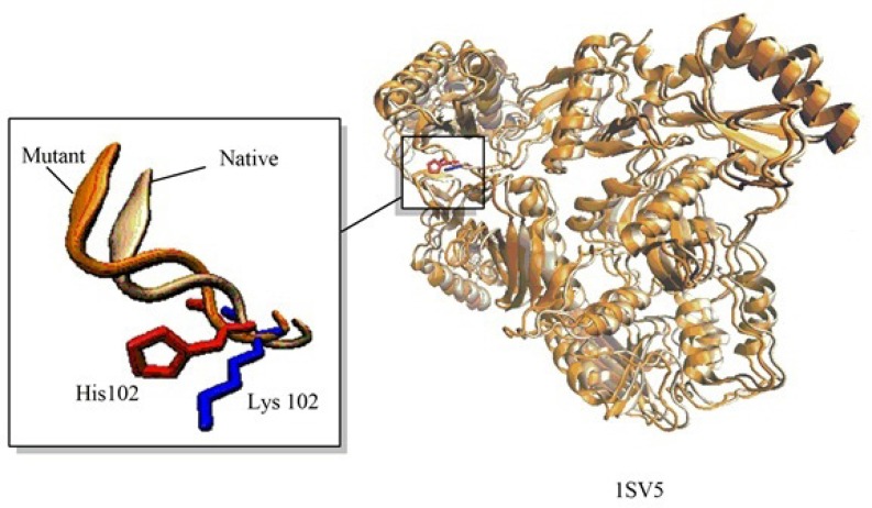 An example for Application of Modelface in making single point mutation in Human Immune deficiency (HIV-1) reverse transcriptase at Lys102. Visualization of the structures was performed using VMD(21)