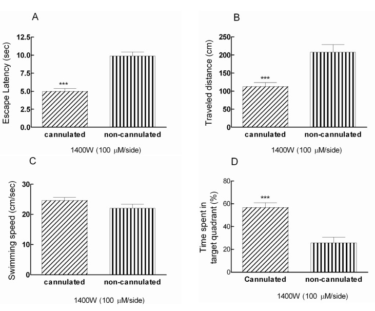 Post-training bilateral intra-hippocampal infusions of 1400W (100 μM/side) decreased the escape latency and traveled distance significantly (***p < 0.001) in cannulated animals compared to non-cannulated (anesthetized) group (Figure 2A and 2B). There is a significant difference (***p < 0.001) between cannulated and non-cannulated rats in time spent in target quadrant (Figure 2D).