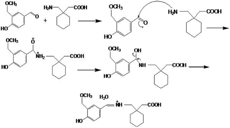 Recommended mechanism for vanillin and gabapentin reaction to produce a chromophore